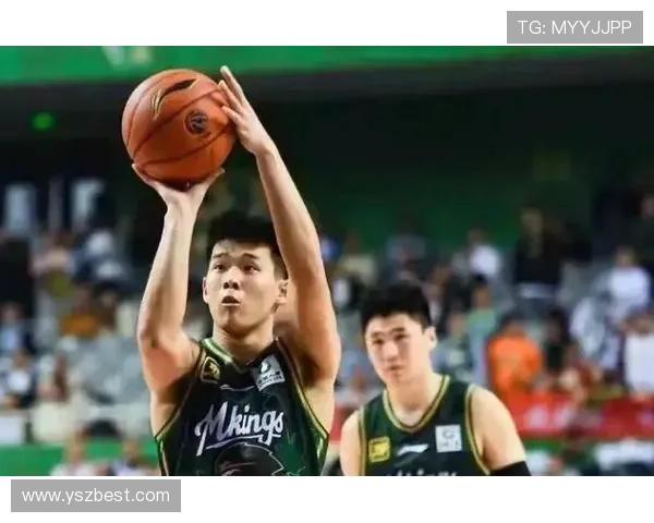 媒体人分析林葳与马健的相似之处及其成就对比引发热议